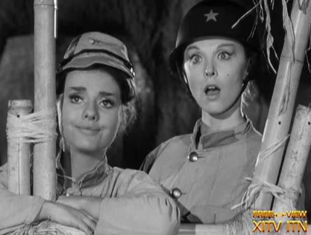 XITV FREE <> VIEW� Gilligan's Island! Starring Tina Louise, Dawn Wells, and Natalie Schafer!