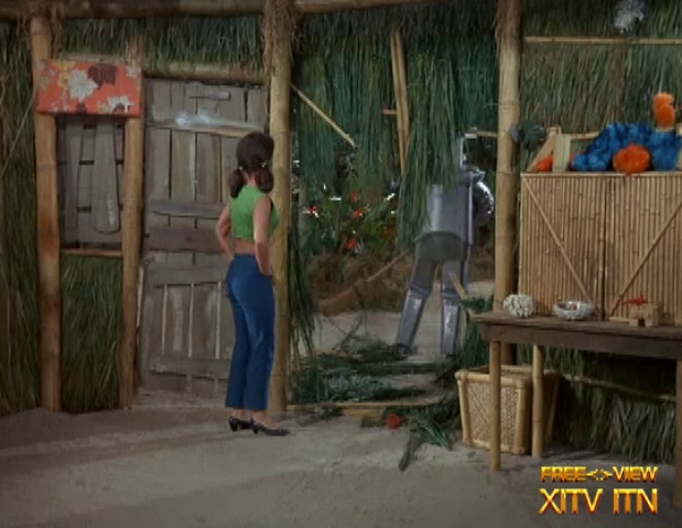 XITV FREE <> VIEW� Gilligan's Island! Starring Tina Louise, Dawn Wells, and Natalie Schafer!