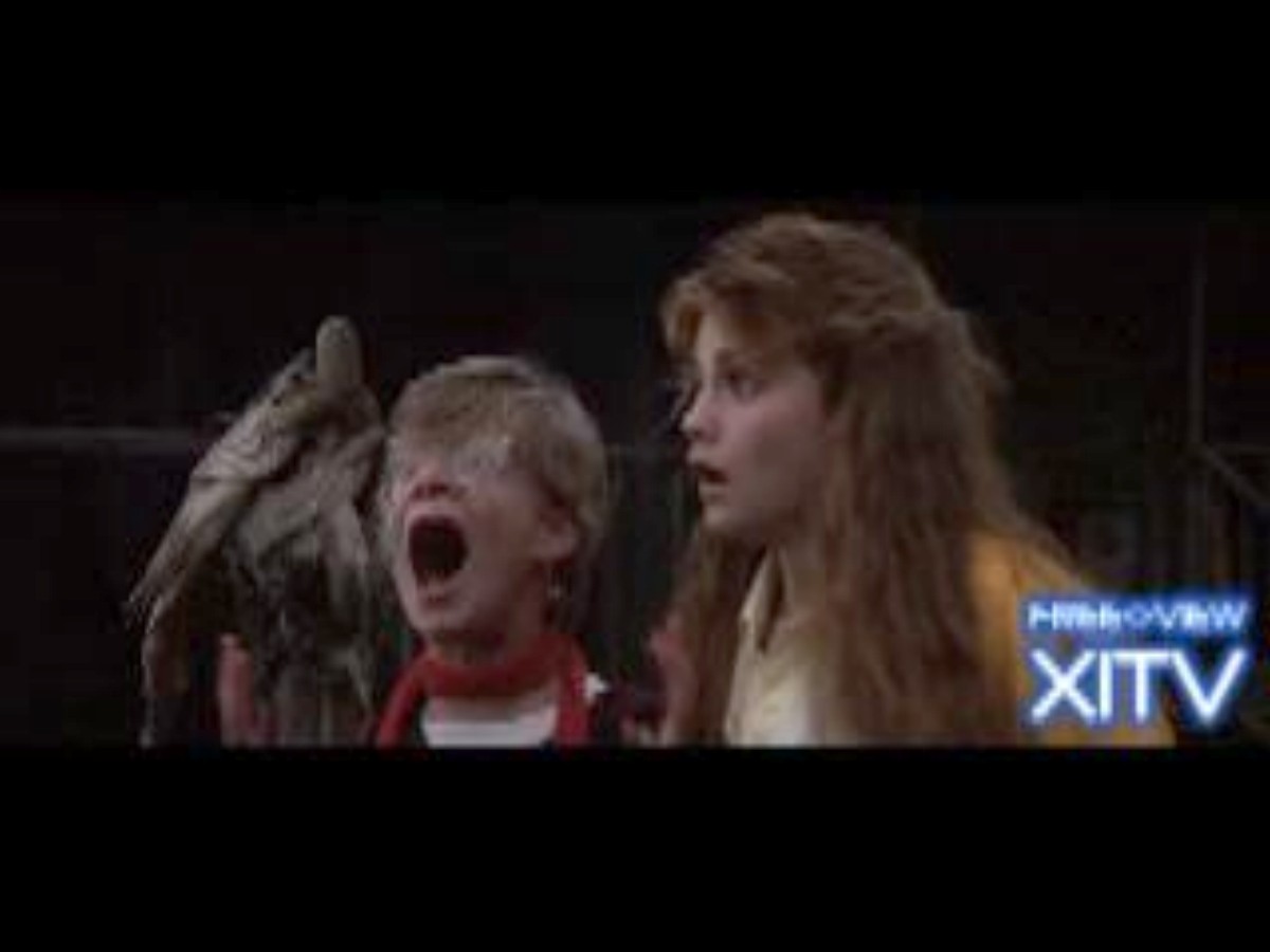 Watch Now! XITV FREE <> VIEW THE GOONIES! Starring Martha Plimpton! 